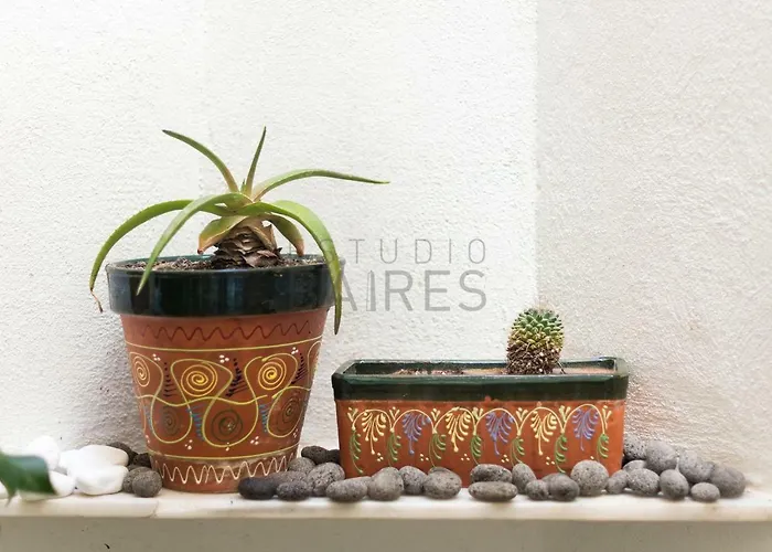 La Divina Daire Cadiz